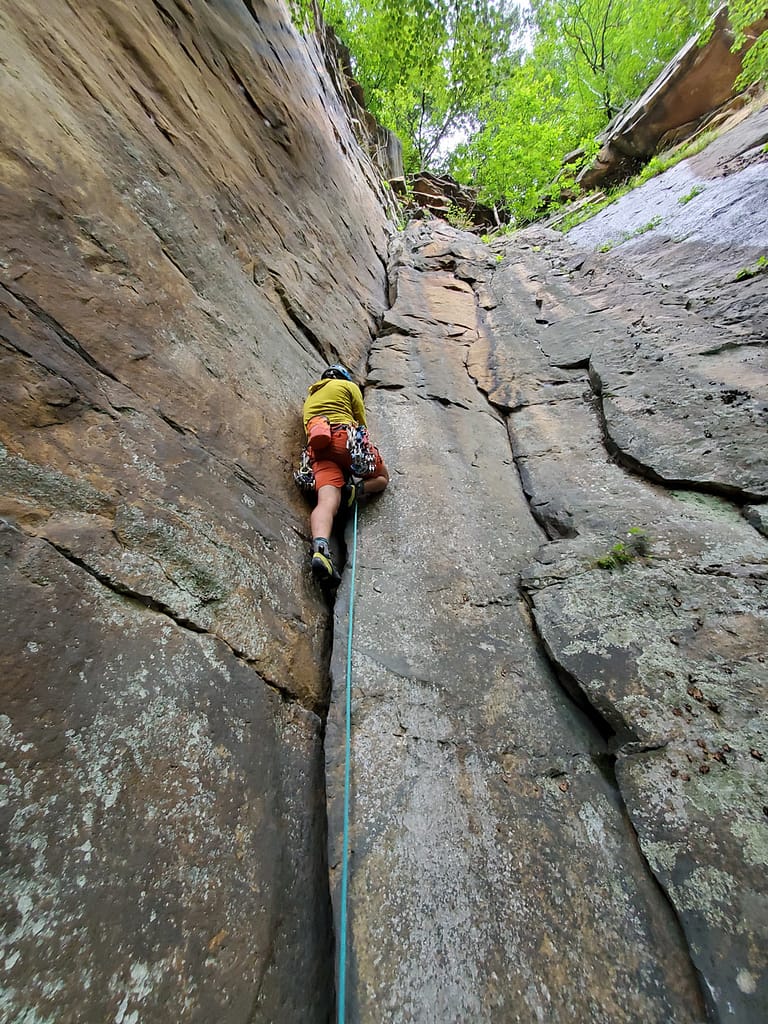 Rob Pizem - XEROS Review